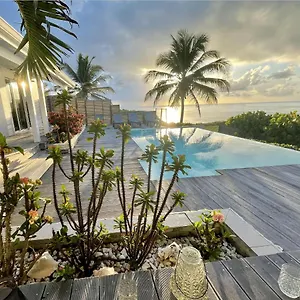 Estheria , Sainte-Anne (Grande-Terre) Guadeloupe